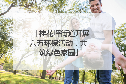 桂花坪街道开展六五环保活动，共筑绿色家园