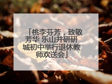 桃李芬芳，致敬芳华 乐山井研研城初中举行退休教师欢送会