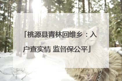 桃源县青林回维乡：入户查实情 监督保公平