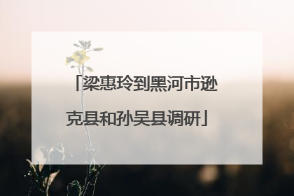 梁惠玲到黑河市逊克县和孙吴县调研