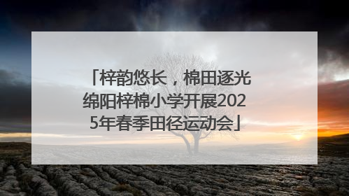 梓韵悠长，棉田逐光 绵阳梓棉小学开展2025年春季田径运动会