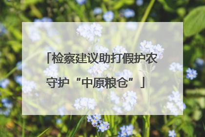 检察建议助打假护农守护“中原粮仓”