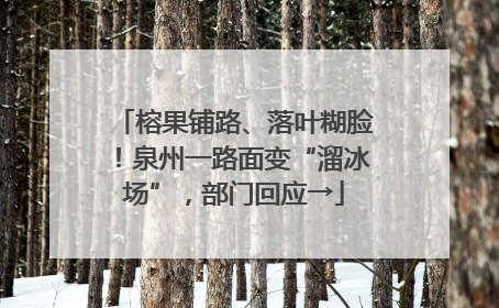 榕果铺路、落叶糊脸！泉州一路面变“溜冰场”，部门回应→