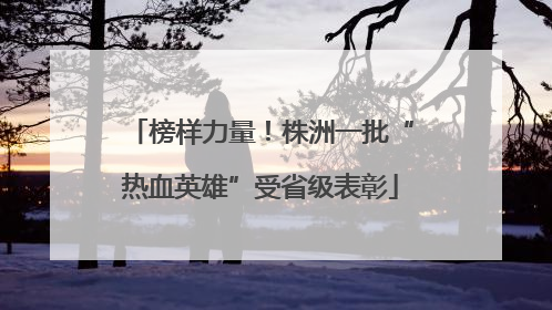 榜样力量！株洲一批“热血英雄”受省级表彰