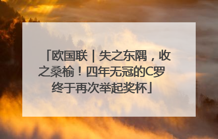 欧国联｜失之东隅，收之桑榆！四年无冠的C罗终于再次举起奖杯