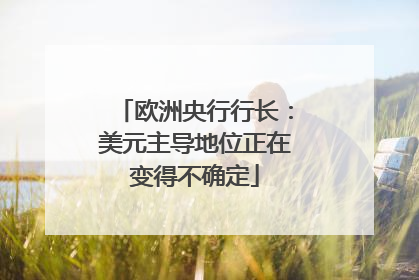 欧洲央行行长：美元主导地位正在变得不确定