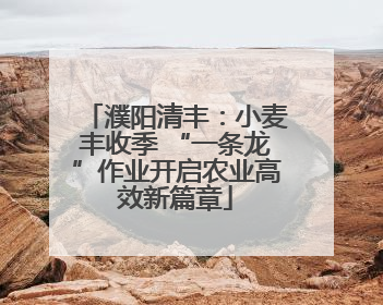 濮阳清丰：小麦丰收季 “一条龙”作业开启农业高效新篇章