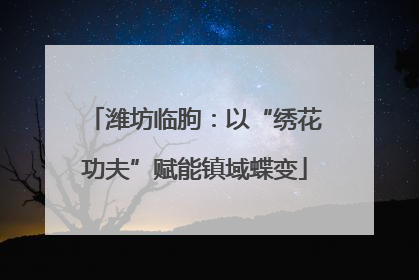 潍坊临朐：以“绣花功夫”赋能镇域蝶变