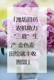 潍坊昌邑：农机助力“三夏”生产 金色麦田绘就丰收图景