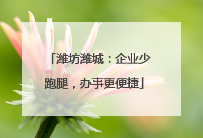 潍坊潍城：企业少跑腿，办事更便捷