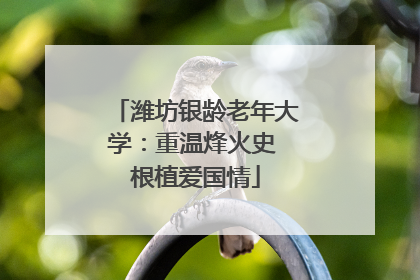潍坊银龄老年大学：重温烽火史 根植爱国情