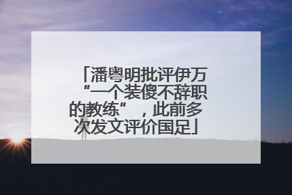 潘粤明批评伊万“一个装傻不辞职的教练”，此前多次发文评价国足