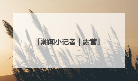 潮闻小记者｜露营