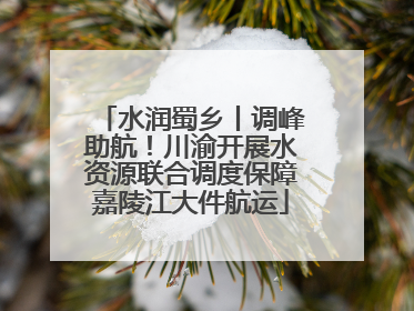 水润蜀乡丨调峰助航！川渝开展水资源联合调度保障嘉陵江大件航运
