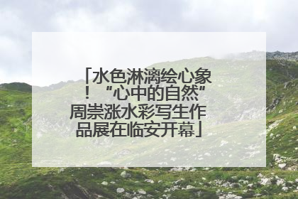 水色淋漓绘心象！“心中的自然”周崇涨水彩写生作品展在临安开幕