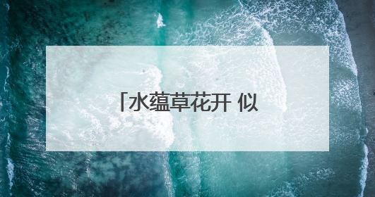 水蕴草花开 似繁星满天｜图集