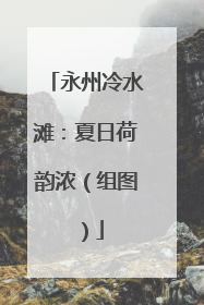 永州冷水滩：夏日荷韵浓（组图）