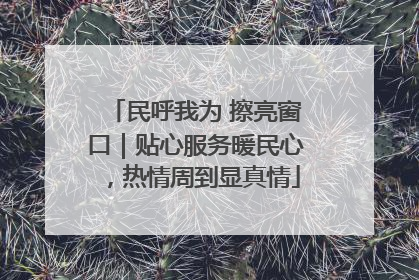 民呼我为 擦亮窗口｜贴心服务暖民心，热情周到显真情