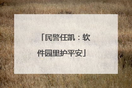 民警任凯：软件园里护平安