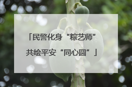 民警化身“粽艺师” 共绘平安“同心圆”