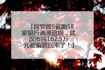 民警跨5省跑58家银行溯源追损，武汉市民162.5万元被骗款回来了！