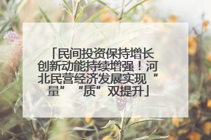民间投资保持增长 创新动能持续增强！河北民营经济发展实现“量”“质”双提升