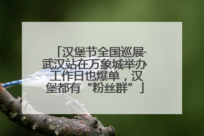 汉堡节全国巡展·武汉站在万象城举办 工作日也爆单，汉堡都有“粉丝群”