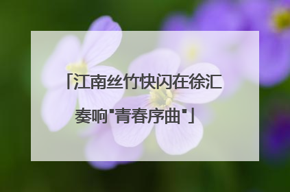 江南丝竹快闪在徐汇奏响