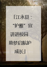 江永县：“护雁”宣讲进校园 助梦启航护成长