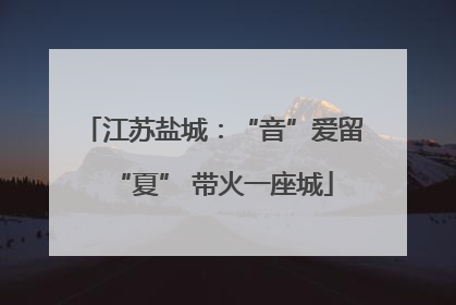 江苏盐城：“音”爱留“夏” 带火一座城