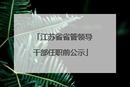 江苏省省管领导干部任职前公示