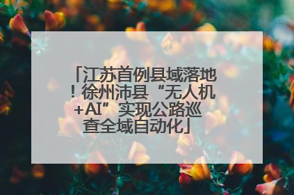 江苏首例县域落地！徐州沛县“无人机+AI”实现公路巡查全域自动化