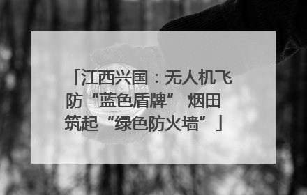 江西兴国：无人机飞防“蓝色盾牌” 烟田筑起“绿色防火墙”