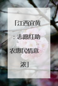 江西宜黄：志愿红助农惠民情意浓