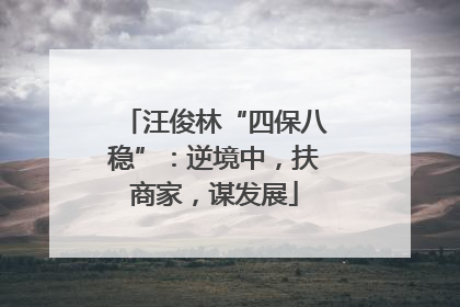 汪俊林“四保八稳”：逆境中，扶商家，谋发展