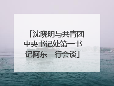 沈晓明与共青团中央书记处第一书记阿东一行会谈