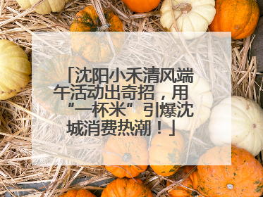 沈阳小禾清风端午活动出奇招，用“一杯米”引爆沈城消费热潮！