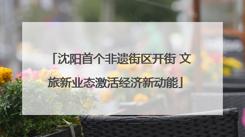 沈阳首个非遗街区开街 文旅新业态激活经济新动能