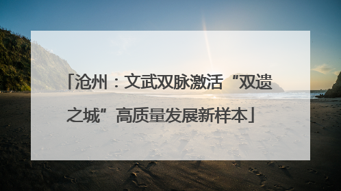 沧州：文武双脉激活“双遗之城”高质量发展新样本