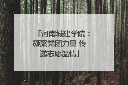 河南城建学院：凝聚党团力量 传递志愿温情