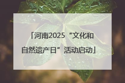 河南2025“文化和自然遗产日”活动启动