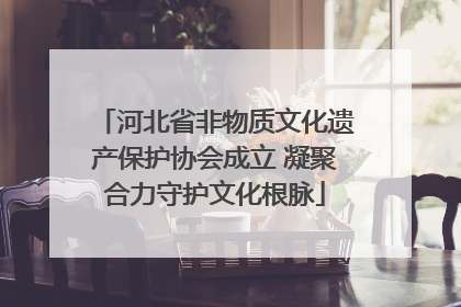 河北省非物质文化遗产保护协会成立 凝聚合力守护文化根脉