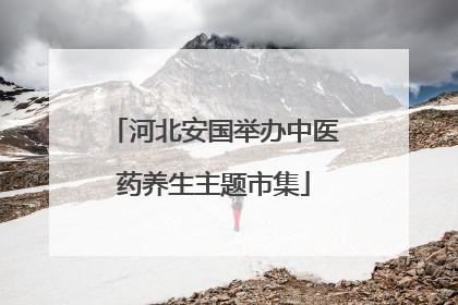 河北安国举办中医药养生主题市集