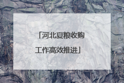 河北夏粮收购工作高效推进