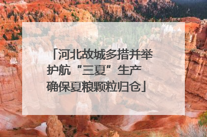 河北故城多措并举护航“三夏”生产 确保夏粮颗粒归仓