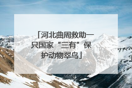 河北曲周救助一只国家“三有”保护动物翠鸟