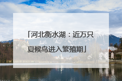 河北衡水湖：近万只夏候鸟进入繁殖期