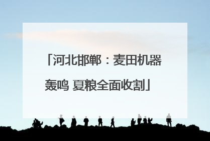 河北邯郸：麦田机器轰鸣 夏粮全面收割