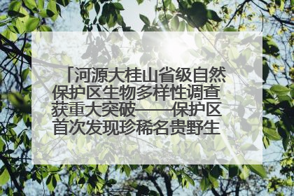 河源大桂山省级自然保护区生物多样性调查获重大突破——保护区首次发现珍稀名贵野生干巴菌与钝尾两头蛇