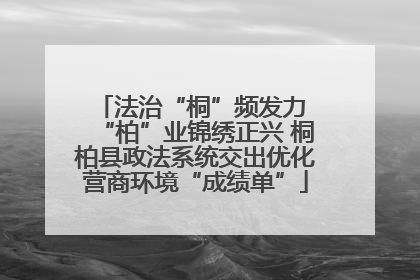 法治“桐”频发力 “柏”业锦绣正兴 桐柏县政法系统交出优化营商环境“成绩单”